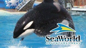 SeaWorld Ceases All Operations in California, Effective Today – Inside the Magic