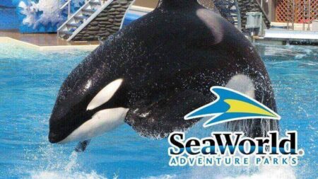 SeaWorld Ceases All Operations in California, Effective Today – Inside the Magic