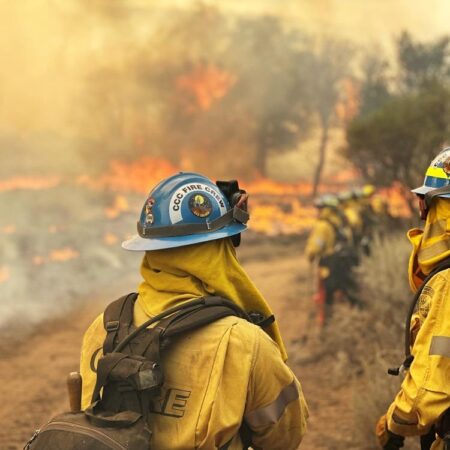 San Diego area fire crews deployed to fight Los Angeles wildfires – NBC 7 San Diego