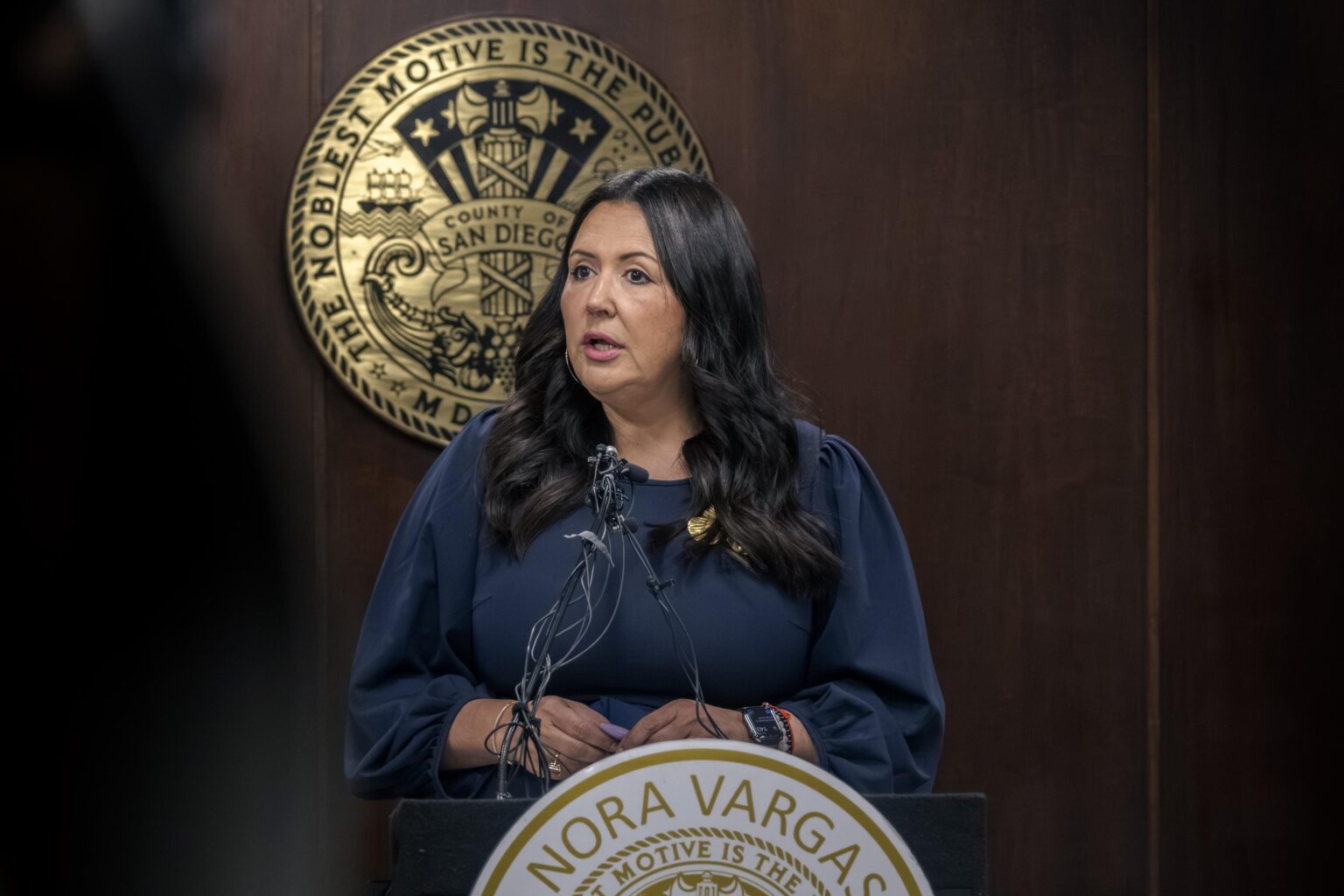 First Latina Supervisor Looks To Change The Face of San Diego Politics – KPBS