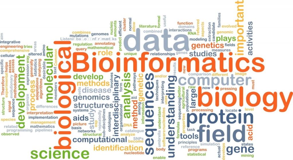 The Best Undergraduate Bioinformatics/Biotechnology Programs – U.S. News & World Report