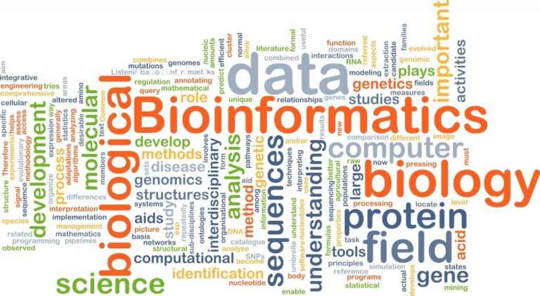 The Best Undergraduate Bioinformatics/Biotechnology Programs – U.S. News & World Report