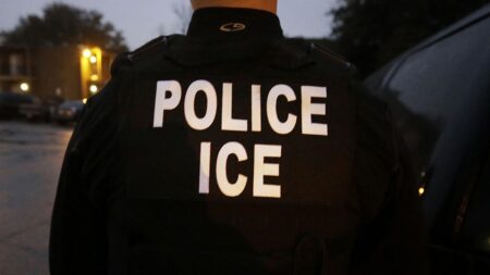 Federal agents target El Cajon business suspected of employing undocumented immigrants – NBC 7 San Diego