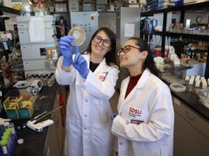 SDSU earns R1 classification, joins top 5% of research universities in the U.S. | News | SDSU – San Diego State University