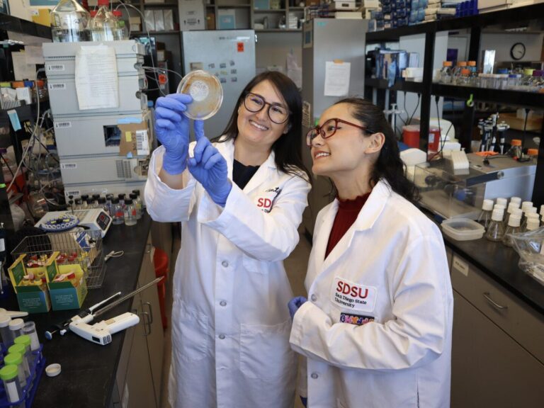 SDSU earns R1 classification, joins top 5% of research universities in the U.S. | News | SDSU – San Diego State University