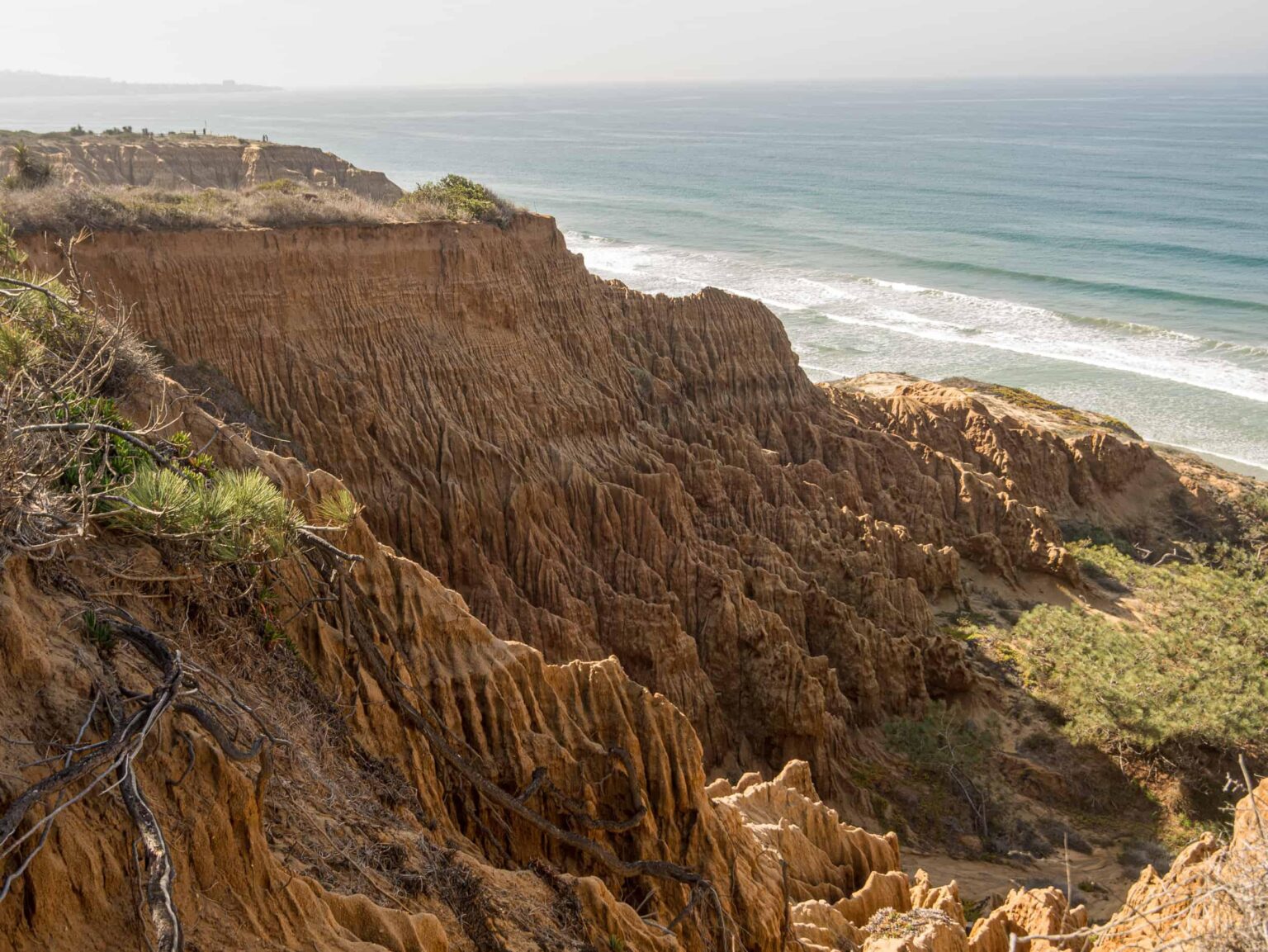Remains found at Torrey Pines State Beach identified as 10-year-old girl – fox5sandiego.com