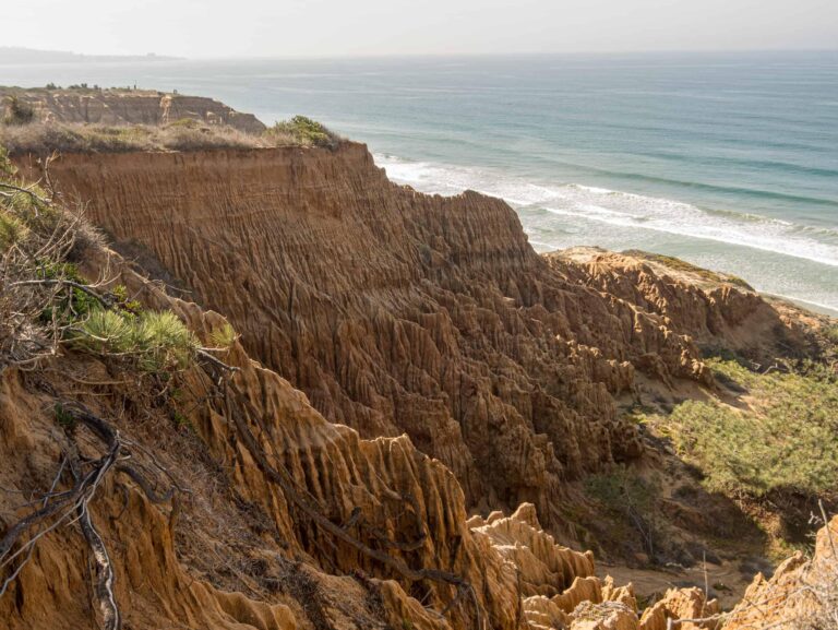 Remains found at Torrey Pines State Beach identified as 10-year-old girl – fox5sandiego.com
