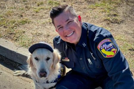 Wife wanted in stabbing death of San Diego fire captain – NBC News