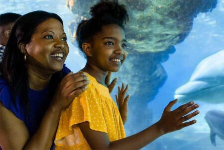 SeaWorld offers free admission for teachers, discounted prices for preschoolers – fox5sandiego.com