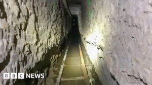 ‘Drug smuggling’ tunnel connecting Mexico to US discovered – USA Today