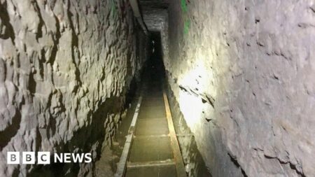 ‘Drug smuggling’ tunnel connecting Mexico to US discovered – USA Today