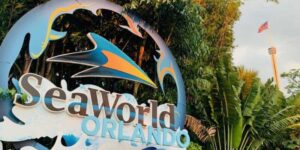 SeaWorld Entertainment, Inc. to be renamed after 60 years – MySA