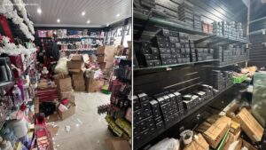 California woman pleads guilty to running $8m cosmetics retail theft ring – The Guardian