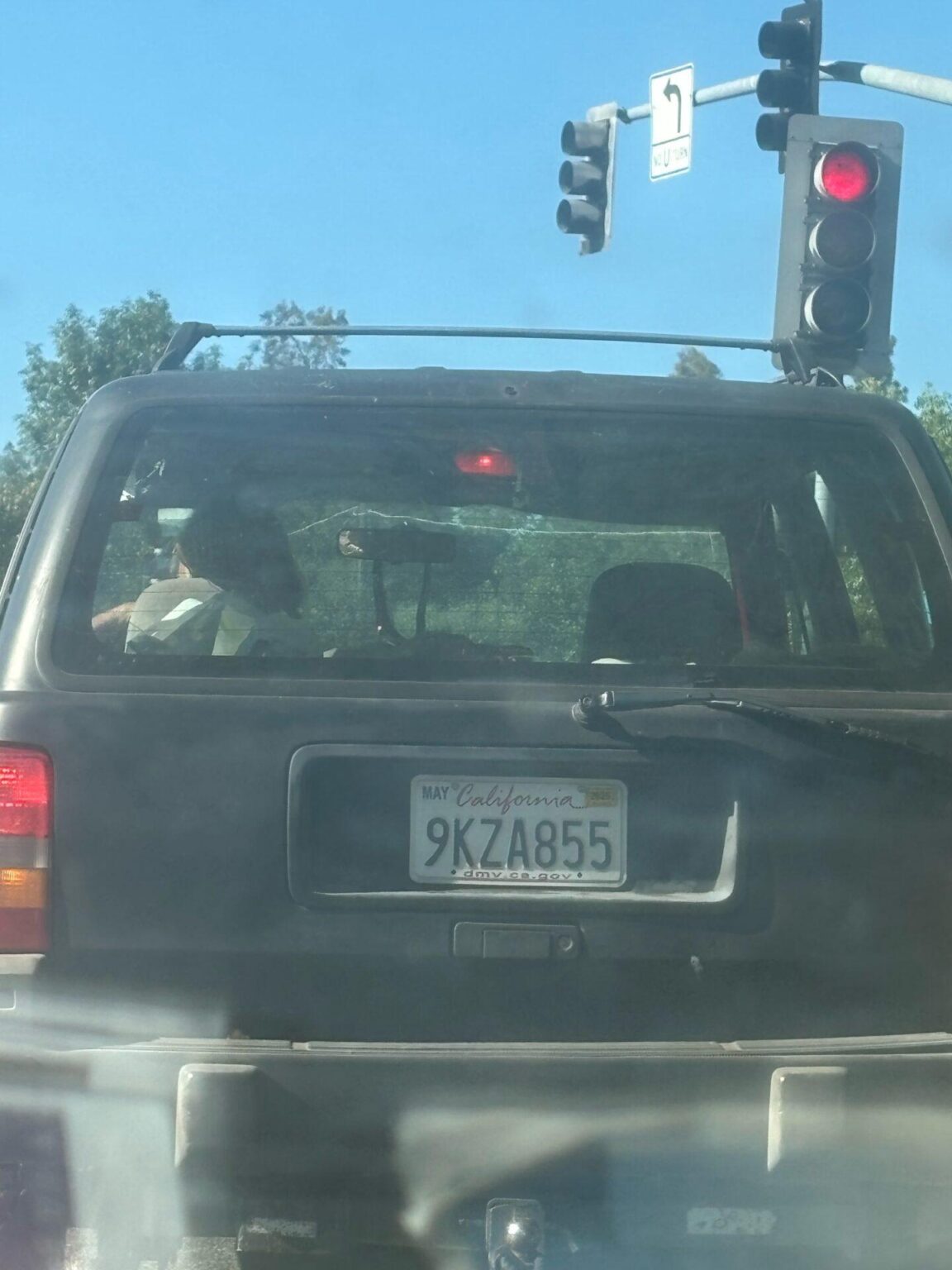 Doberman dragged at ‘disturbing’ high speeds tied to Jeep dies, driver may face charges – USA Today