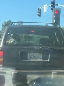 Doberman dragged at ‘disturbing’ high speeds tied to Jeep dies, driver may face charges – USA Today