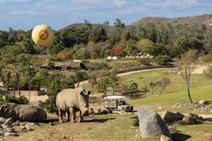 Vote: San Diego Zoo in running for USA Today’s Best Zoo in U.S. award – fox5sandiego.com