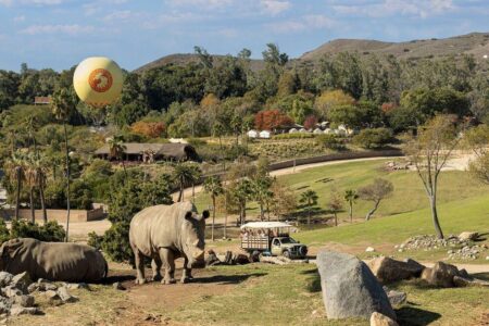 Vote: San Diego Zoo in running for USA Today’s Best Zoo in U.S. award – fox5sandiego.com