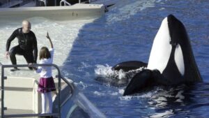 SeaWorld to end killer-whale shows in San Diego – USA Today