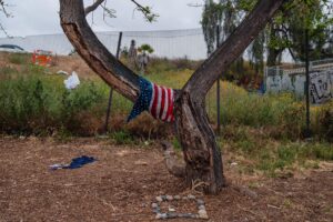 San Diego Political Expert Details Steps that Could Lead to US Civil War – Voice of San Diego