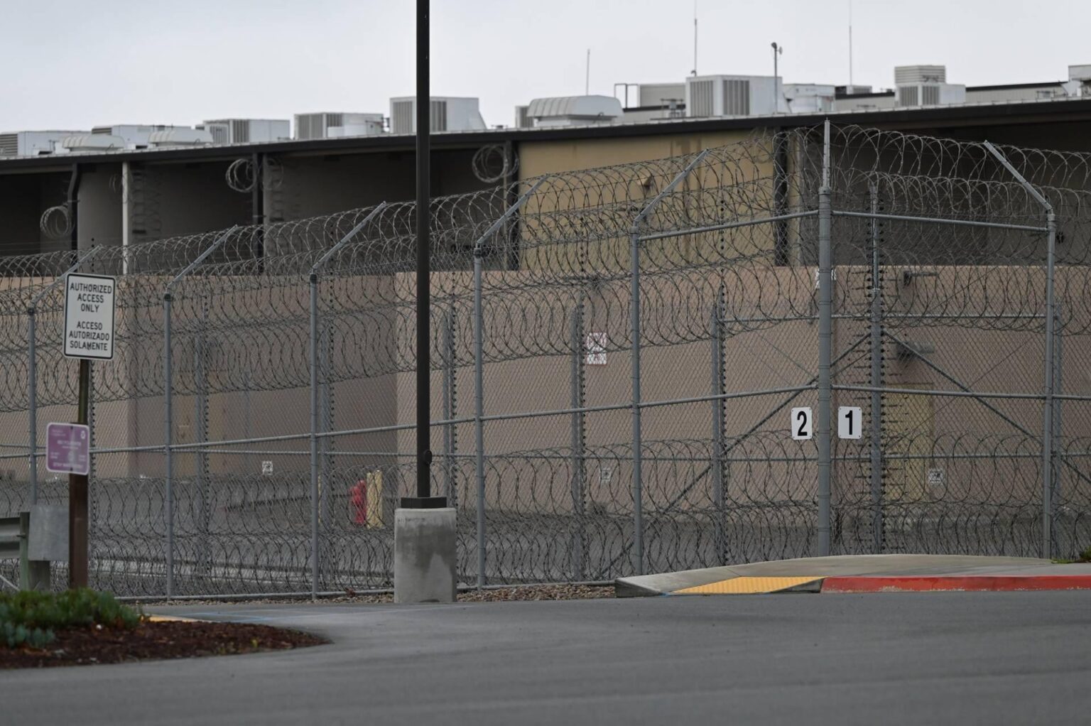 This Ethiopian woman was tortured by her government. The US is sending her home anyway – capradio.org