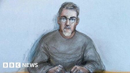 Daniel Andreas San Diego: Suspect to face extradition hearing to US – BBC