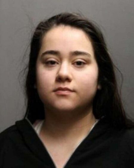 19-Year-Old Woman Arrested After 2 Men in Car Hit by Hail of Bullets – Times of San Diego