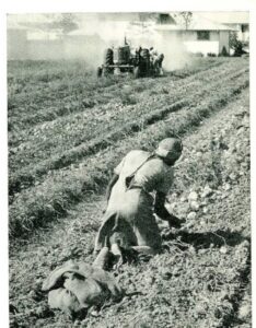 In 1965, the government tried replacing migrant workers with high-schoolers. It was a disaster. – The Washington Post