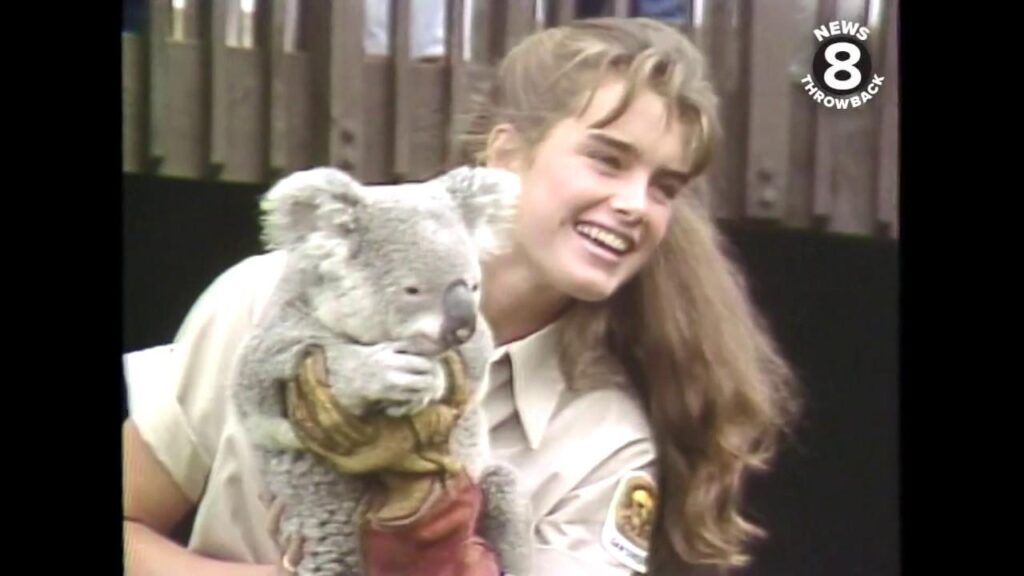 Brooke Shields talks about interning at the San Diego Zoo – Yahoo