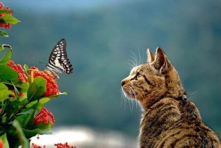 Padres’ Yu Darvish Sends Message to Dodgers’ Yoshinobu Yamamoto After World Series – Sports Illustrated