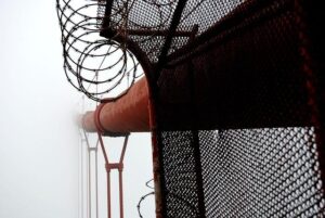 California Startup Wins $100M Drone Contract From US Air Force – The Defense Post