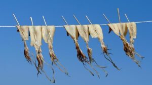 East Village stabbing leads to pursuit and gunfire in Mexico – San Diego Union-Tribune