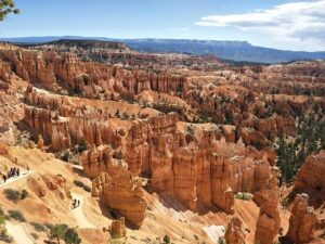U.S. Coast Guard Cutter Active crew offloads $203M in cocaine in San Diego – United States Coast Guard News (.mil)