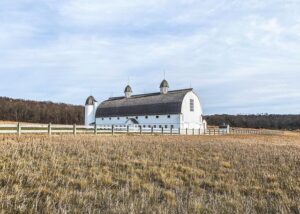 DHS tells US citizen, a San Diego County native, to leave the country – NBC 7 San Diego